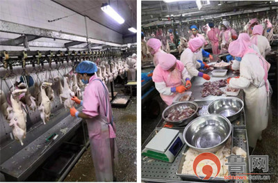 德州禹城市倫鎮 “四個強化”筑牢餐飲安全防線，守護群眾“舌尖上的安全”